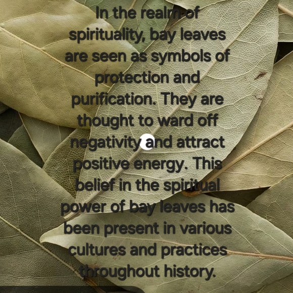 Like to follow - Picture 2 of 7